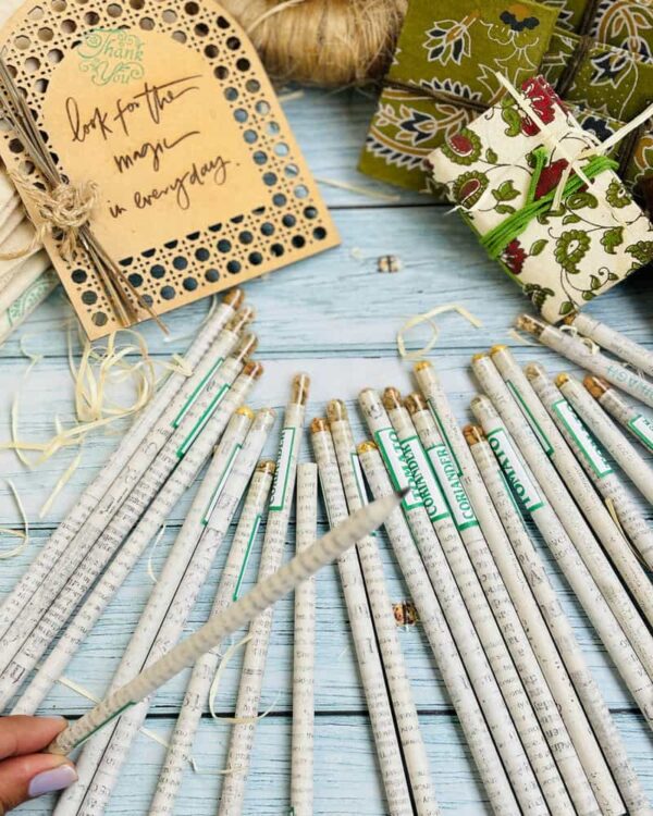 Newspaper Seed Pencils Set of 10