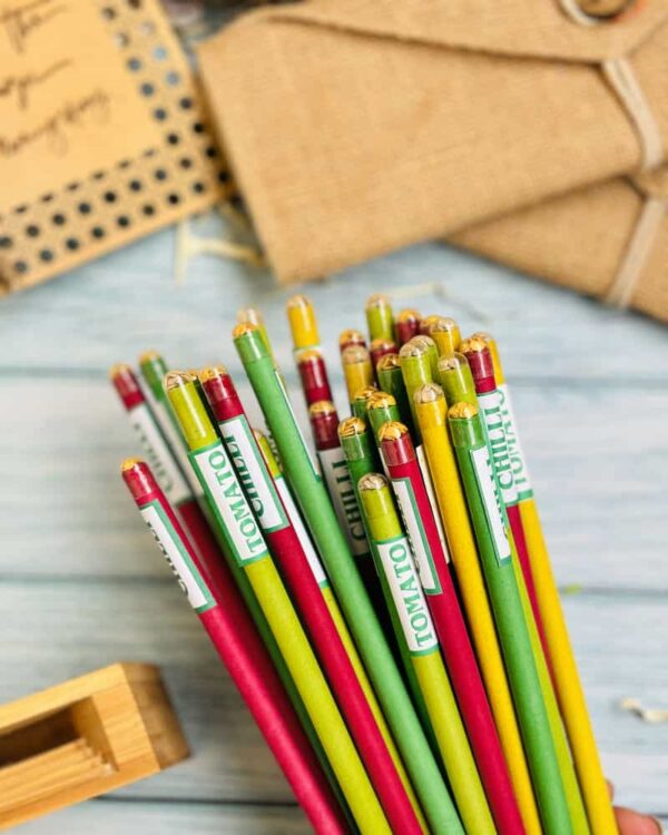 Newspaper Seed Pencils Set of 2
